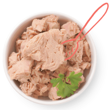 Salada de Macarrão Tricolor com Atum