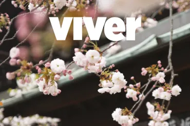 O combinado japonês